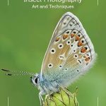 Unlock the Secrets of Nature with Our In-Depth Review: Insect Photography: Art and Techniques from Amazon