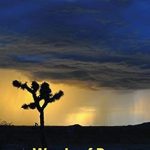 Master the Art of De-Escalation: A Must-Read Review of ‘Words of Power: A Guide for Ordinary People to Calm and De-Escalate Aggressive Individuals’ Master the Art of De-Escalation: A Must-Read Review of ‘Words of Power: A Guide for Ordinary People to Calm and De-Escalate Aggressive Individuals’