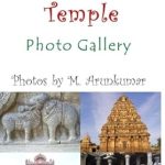 An Unforgettable Journey Through Sacred Architecture: Airavatesvara Temple – Photo Gallery (Photo Book)