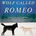 Discover the Heartwarming Journey of Friendship in ‘A Wolf Called Romeo’ – A Must-Read Review!