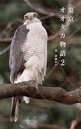 Discover the Enchanting Journey: A Review of The Story of Northern Goshowk in Tokyo Second Season (Japanese Edition)