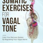 Transform Your Well-Being: A Comprehensive Review of ‘Somatic Exercise for Vagal Tone: Calm Your Nervous System By Regulating Your Vagus Nerve’