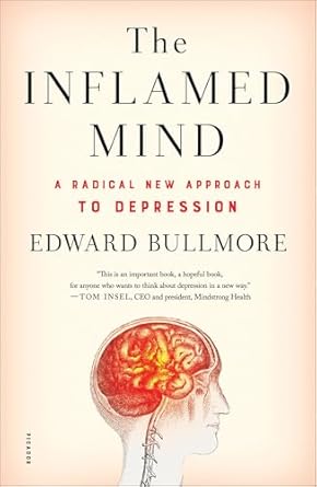 Discover the Groundbreaking Insights of ‘The Inflamed Mind: A Radical New Approach to Depression’ – A Must-Read Review!