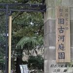 An Enchanting Journey Through Nature: Kiyou Furukawateienn Photo Album (Japanese Edition) – A Stunning Visual Experience