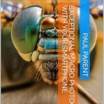 Discover Life-Changing Insights in Our Review of Instructional Photography: Learning How to Live Now (SPBH Essays Book 2)