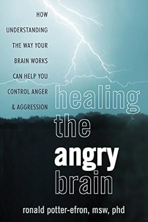 Transform Your Emotions: A Comprehensive Review of ‘Healing the Angry Brain: How Understanding the Way Your Brain Works Can Help You Control Anger and Aggression’