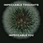Discover the Transformative Power of Mindfulness: A Review of Impeccable Thoughts, Impeccable You: Choosing Your Thoughts | Renewing Your Mind | Taking Control of Your Inner World