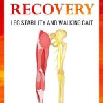 Transform Your Recovery Journey: A Comprehensive Review of ‘Stroke Recovery: Leg Stability and Walking Gait’