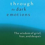 Discover Profound Insights in My Review of ‘Healing through the Dark Emotions: The Wisdom of Grief, Fear, and Despair’ Discover Profound Insights in My Review of ‘Healing through the Dark Emotions: The Wisdom of Grief, Fear, and Despair’