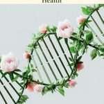 Essential Insights: Understanding MTHFR – A Simple Guide to Your Genes & Health Review