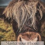 Discover Insider Tips in Our Comprehensive Review of ‘Master Your iPhone Camera: The Ultimate Guide to Stunning Photography’ [Print Replica]