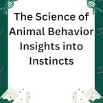 Unveiling the Fascinating World of Instincts: A Comprehensive Review of ‘The Science of Animal Behavior: Insights into Instincts from Amazon’ Unveiling the Fascinating World of Instincts: A Comprehensive Review of ‘The Science of Animal Behavior: Insights into Instincts from Amazon’