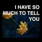 Discover the Heartfelt Narratives in ‘I Have So Much To Tell You: A Photography Zine Of Cultural Stories’ – A Must-Read Review