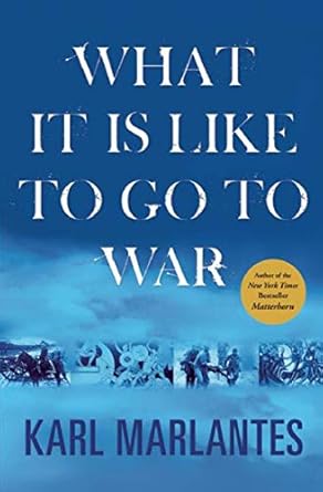 An Eye-Opening Journey: A Compelling Review of ‘What It Is Like to Go to War’