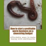 Unlock Your Entrepreneurial Potential: A Comprehensive Review of ‘How to Start a Profitable Worm Business on a Shoestring Budget’ from Amazon