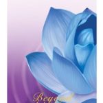 Transform Your Meditation Practice: A Deep Dive into Beyond the Mind (The Golden Lotus Sutra on Meditation) Transform Your Meditation Practice: A Deep Dive into Beyond the Mind (The Golden Lotus Sutra on Meditation)