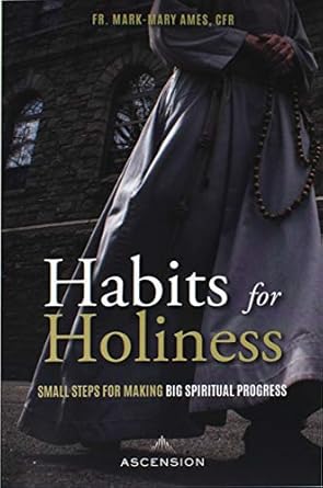 Transform Your Spiritual Journey: A Must-Read Review of ‘Habits for Holiness: Small Steps for Making Big Spiritual Progress’