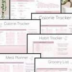 Unlock Your Fitness Goals: A Comprehensive Review of ‘Weight Loss & Fitness Tracker | Google Sheets | Calorie Tracker | Meal Planner | Habit Tracker | Digital Workout Planner’