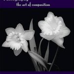 Discover the Secrets of Stunning Visuals: A Comprehensive Review of ‘Photography: The Art of Composition’ Discover the Secrets of Stunning Visuals: A Comprehensive Review of ‘Photography: The Art of Composition’