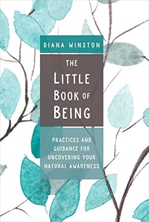 Discover the Transformative Wisdom in ‘The Little Book of Being: Practices and Guidance for Uncovering Your Natural Awareness’ – A Must-Read Review!