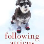 Heartwarming Journey of Friendship Revealed: Following Atticus: Forty-Eight High Peaks, One Little Dog, and an Extraordinary Friendship