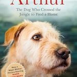Heartwarming Review: Arthur: The Dog Who Crossed the Jungle to Find a Home (Now the Film Arthur the King) Heartwarming Review: Arthur: The Dog Who Crossed the Jungle to Find a Home (Now the Film Arthur the King)