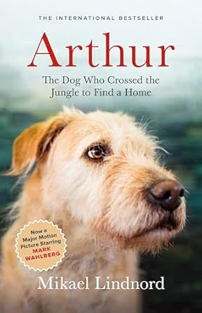 Heartwarming Review: Arthur: The Dog Who Crossed the Jungle to Find a Home (Now the Film Arthur the King)