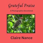 Discover Life-Changing Insights in Our Review of Instructional Photography: Learning How to Live Now (SPBH Essays Book 2) Discover Life-Changing Insights in Our Review of Instructional Photography: Learning How to Live Now (SPBH Essays Book 2)