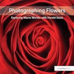 Discover the Art of Floral Photography: A Review of ‘Photographing Flowers: Exploring Macro Worlds with Harold Davis’