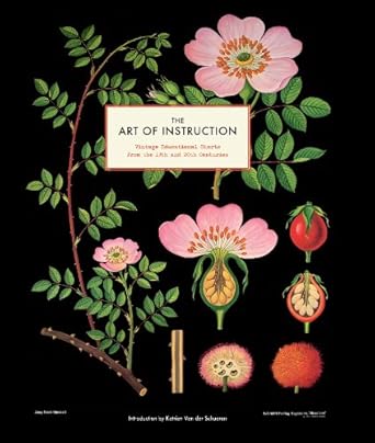 Discover Timeless Wisdom: A Review of The Art of Instruction: Vintage Educational Charts from the 19th and 20th Centuries