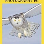 Discover the Secrets to Stunning Shots: A Comprehensive Review of Bird and Nature Photography 101