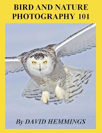 Discover the Secrets to Stunning Shots: A Comprehensive Review of Bird and Nature Photography 101