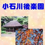 Discover the Beauty of Nature: A Must-See Review of ‘Photograph Collection Koishikawa Korakuen Photo Collection (Japanese Edition)’ Discover the Beauty of Nature: A Must-See Review of ‘Photograph Collection Koishikawa Korakuen Photo Collection (Japanese Edition)’