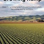 Unlock the Secrets of Successful Farming: A Comprehensive Review of ‘Growing Hemp: Steps for Growing Hemp from Seed to Mature Plant, Harvesting, Drying, and Sales’
