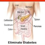 Discover Life-Changing Strategies in ‘Type 1 Diabetic – A New Pancreas (Your Health)’ – A Must-Read Review for Every Diabetic