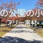 Discover the Beauty of Nature: A Review of ‘Autumn Park Path 1: Copyright Free Material Photo Collection (Japanese Edition)’ on Amazon