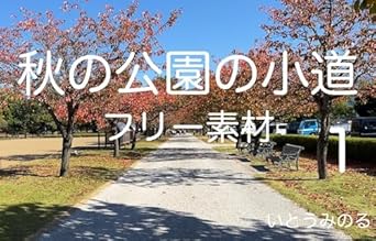 Discover the Beauty of Nature: A Review of ‘Autumn Park Path 1: Copyright Free Material Photo Collection (Japanese Edition)’ on Amazon