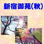 Discover the Beauty of Autumn: A Review of ‘Photo Album Shinjuku Gyoen Autumn Photo Collection (Japanese Edition)’ Discover the Beauty of Autumn: A Review of ‘Photo Album Shinjuku Gyoen Autumn Photo Collection (Japanese Edition)’