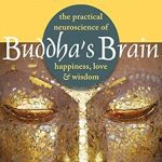 Transform Your Mind: A Deep Dive into Buddha’s Brain: The Practical Neuroscience of Happiness, Love, and Wisdom Transform Your Mind: A Deep Dive into Buddha’s Brain: The Practical Neuroscience of Happiness, Love, and Wisdom