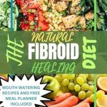 Discover the Secrets of Wellness: A Comprehensive Review of THE NATURAL FIBROID HEALING DIET [Print Replica]