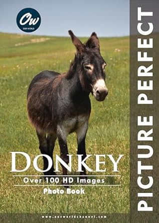 Must-See Visuals: A Review of Donkey: Picture Perfect Photo Book [Print Replica] – An Unforgettable Journey Through Stunning Imagery