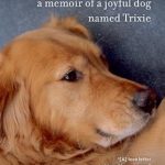 Discover the Heartwarming Journey in ‘A Big Little Life: A Memoir of a Joyful Dog Named Trixie’ – A Must-Read for Dog Lovers!