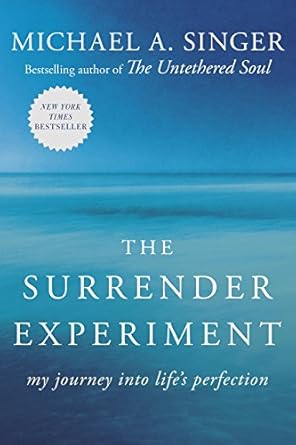 Transformative Insights Await: A Deep Dive into The Surrender Experiment: My Journey into Life’s Perfection
