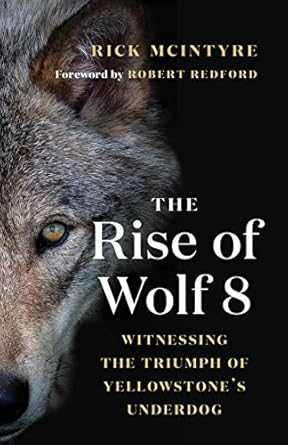 Unveiling Nature’s Resilience: A Gripping Review of The Rise of Wolf 8: Witnessing the Triumph of Yellowstone’s Underdog (The Alpha Wolves of Yellowstone Book 1)