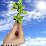 Transform Your Health: A Comprehensive Review of The 7-Day Anti-Inflammatory Detox – Combining the Best Parts of Paleo, Vegan, and Gluten- and Sugar-Free Diets