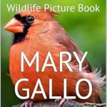 Discover the Beauty of Wildlife: A Review of ‘Nature Photography in my Backyard: Wildlife Picture Book’ from Amazon