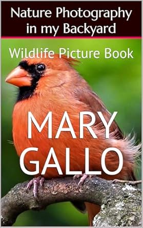 Discover the Beauty of Wildlife: A Review of ‘Nature Photography in my Backyard: Wildlife Picture Book’ from Amazon