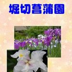 Discover the Stunning Visuals: A Comprehensive Review of Photograph Collection Horikiri Gion Photo Collection (Japanese Edition) Discover the Stunning Visuals: A Comprehensive Review of Photograph Collection Horikiri Gion Photo Collection (Japanese Edition)