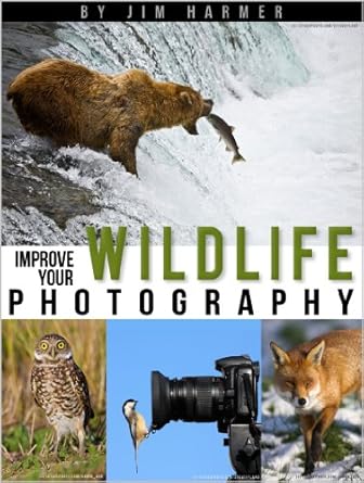 Discover the Secrets to Stunning Shots: A Review of Improve Your Wildlife Photography (Improve Your Photography Book 3)