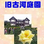 Discover the Hidden Beauty: A Review of the Photo Collection Former Furukawa Garden (Japanese Edition)